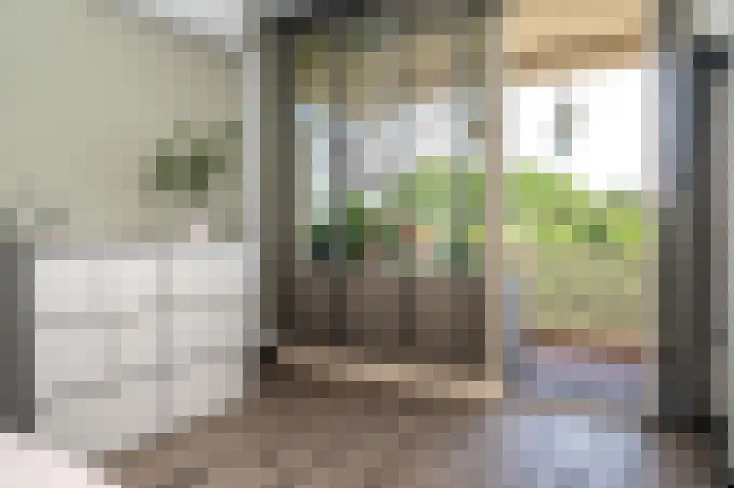Tolhuis 6671 Nijmegen thumbnail 17
