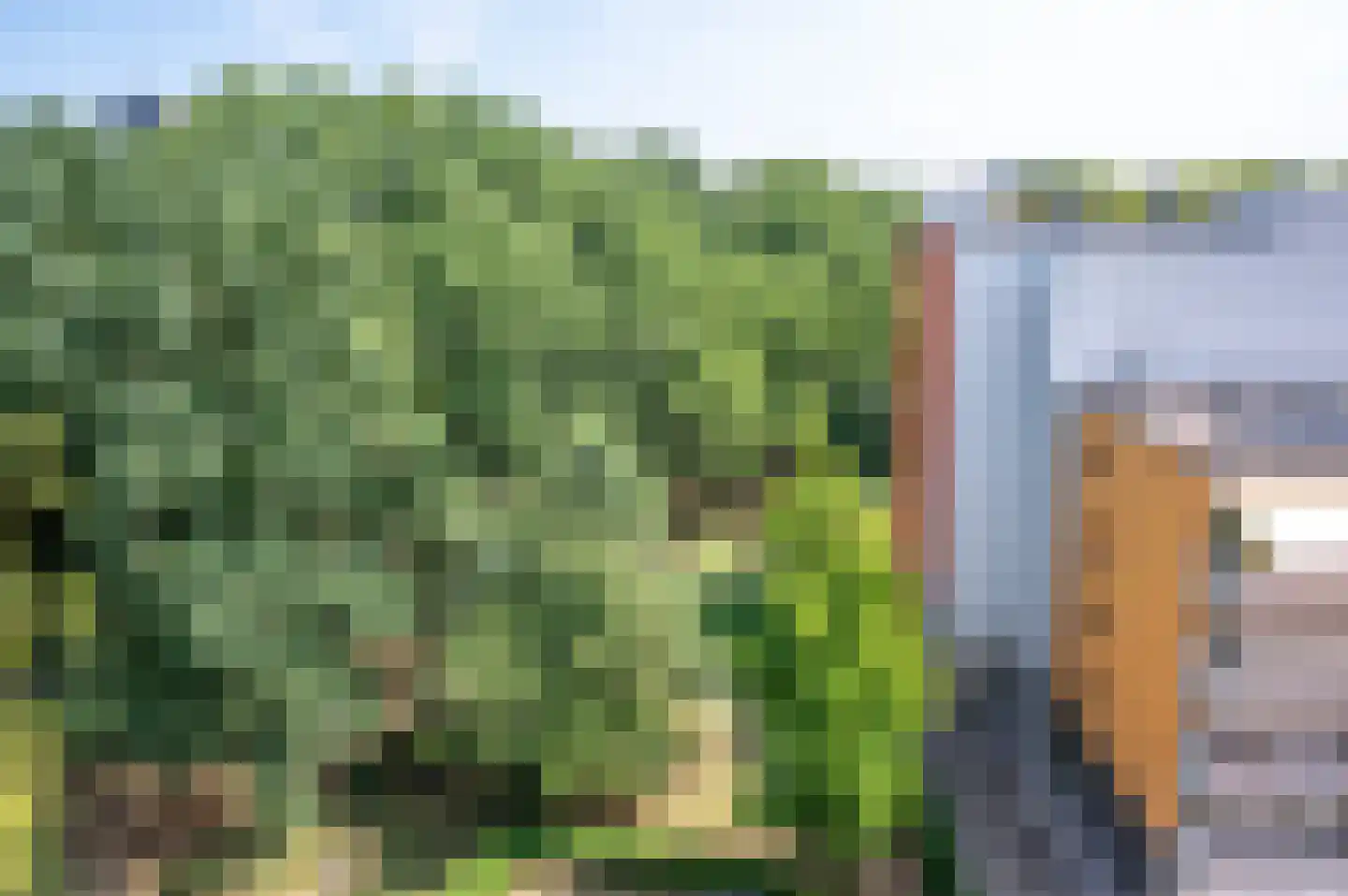 Tolhuis 6671 Nijmegen thumbnail 23