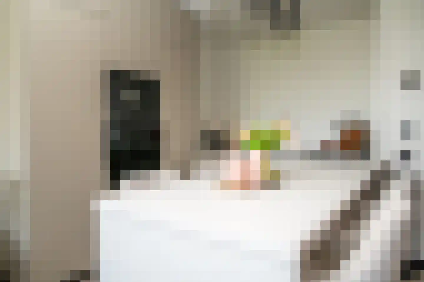 Tolhuis 6671 Nijmegen thumbnail 7