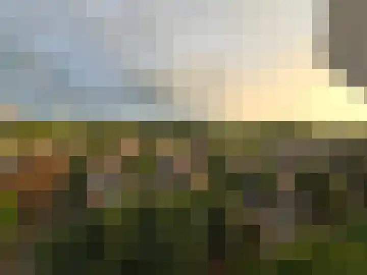 Tolhuis 6683 Nijmegen thumbnail 30