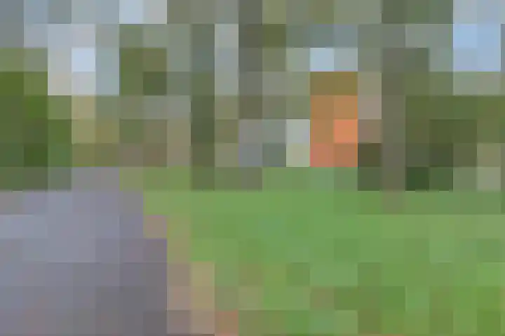 Tolhuis 6683 Nijmegen thumbnail 35