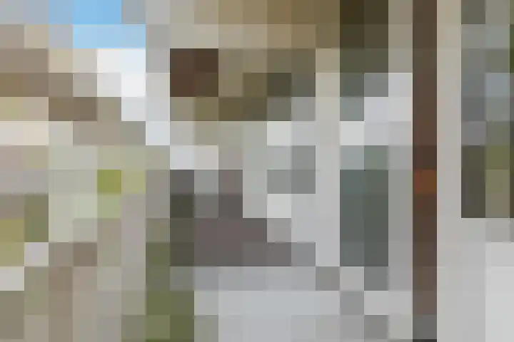 Tolhuis 6731 Nijmegen thumbnail 9