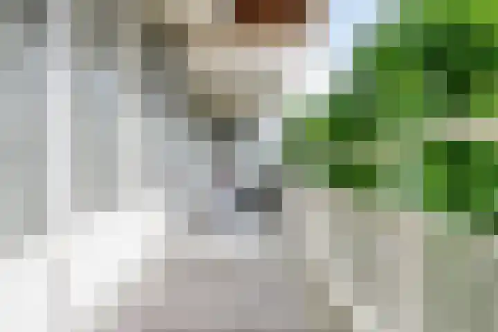 Tolhuis 6732 Nijmegen thumbnail 32