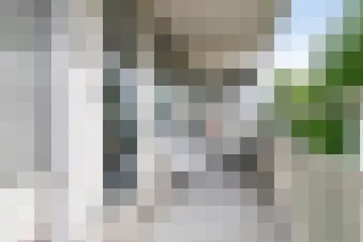 Tolhuis 6732 Nijmegen thumbnail 33