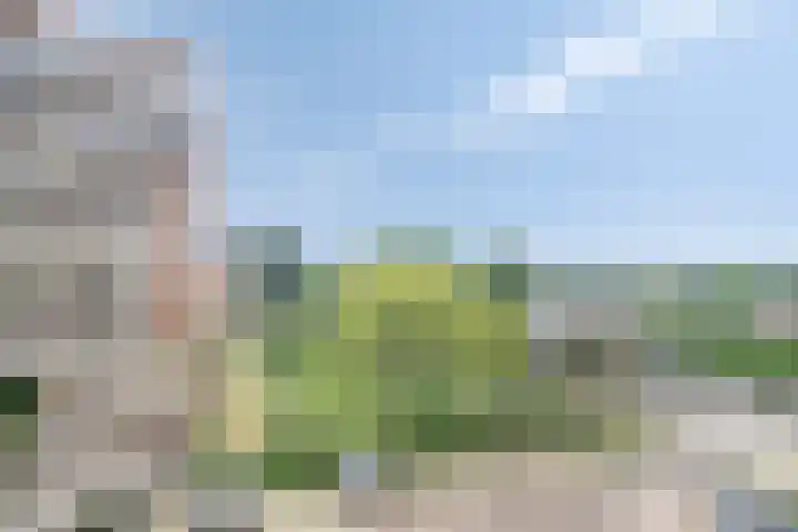 Tolhuis 6732 Nijmegen thumbnail 35