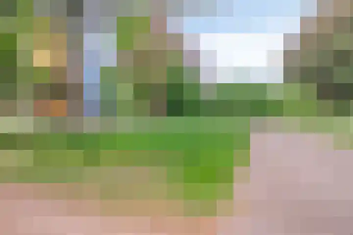 Tolhuis 6732 Nijmegen thumbnail 37