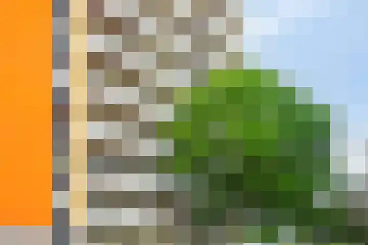 Tolhuis 6732 Nijmegen thumbnail 6