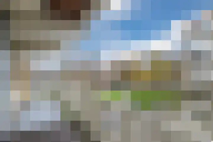 Tolhuis 6741 Nijmegen thumbnail 15