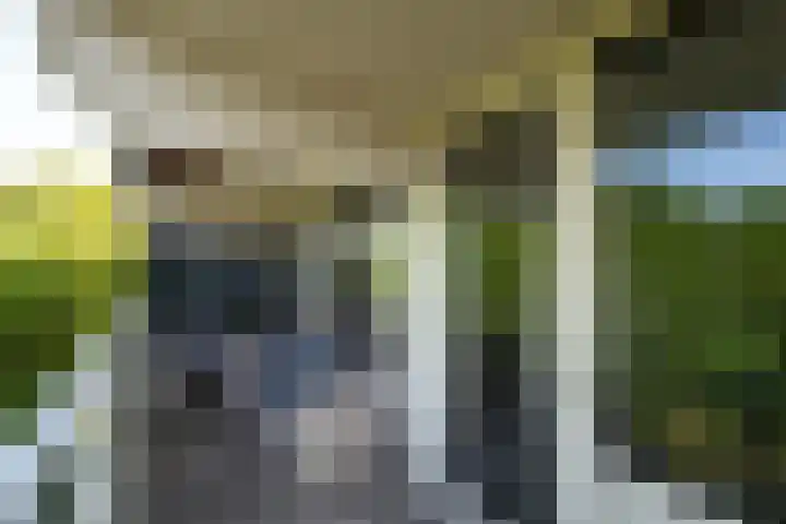 Tolhuis 6755 Nijmegen thumbnail 13