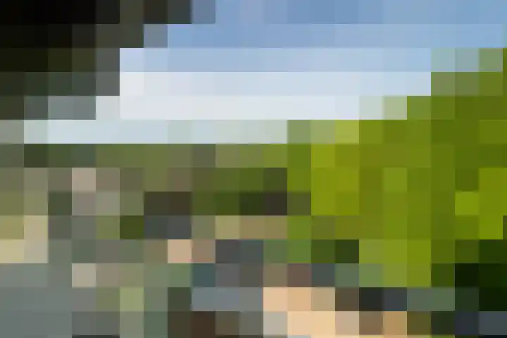Tolhuis 6755 Nijmegen thumbnail 14