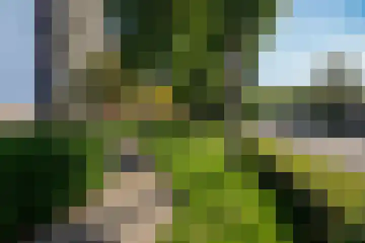 Tolhuis 6755 Nijmegen thumbnail 19