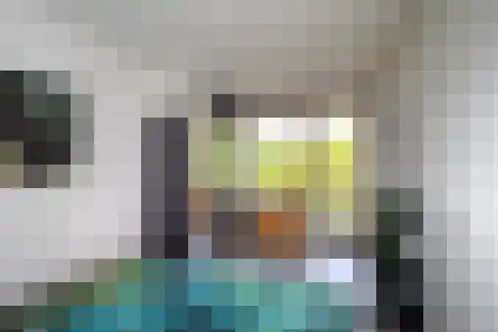 Tolhuis 6755 Nijmegen thumbnail 7