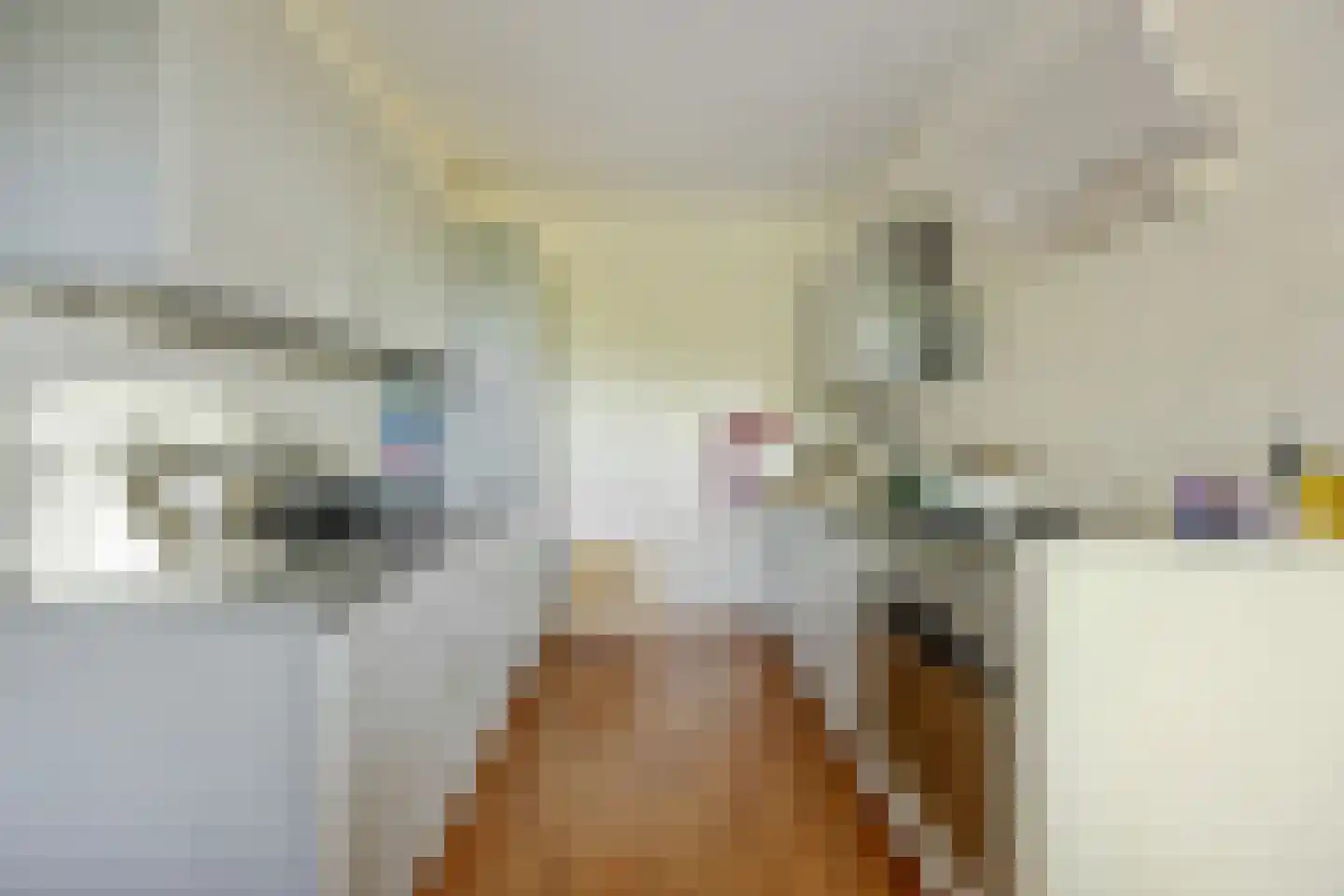 Tolhuis 6765 Nijmegen thumbnail 15