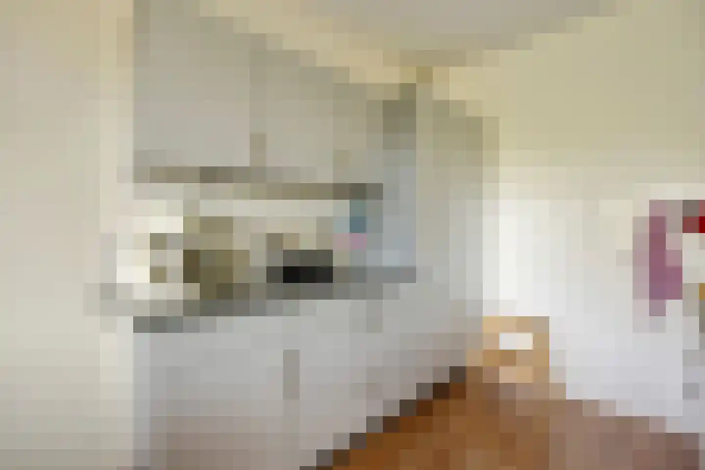 Tolhuis 6765 Nijmegen thumbnail 16