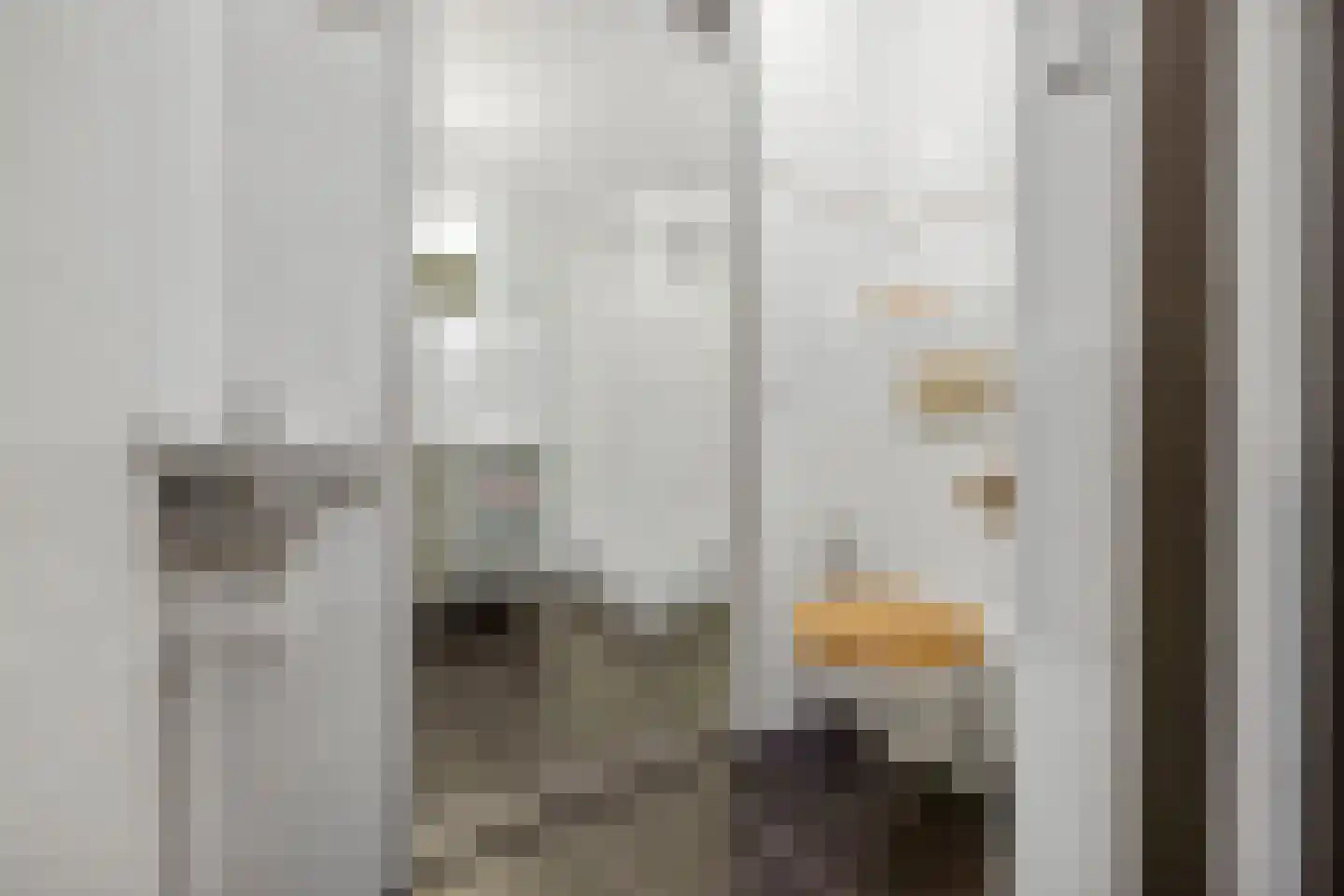 Tolhuis 6765 Nijmegen thumbnail 7