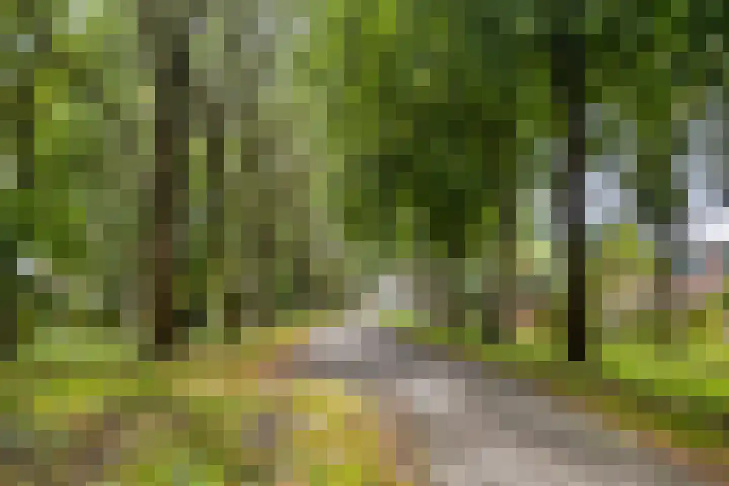 Tolhuis 6773 Nijmegen thumbnail 28