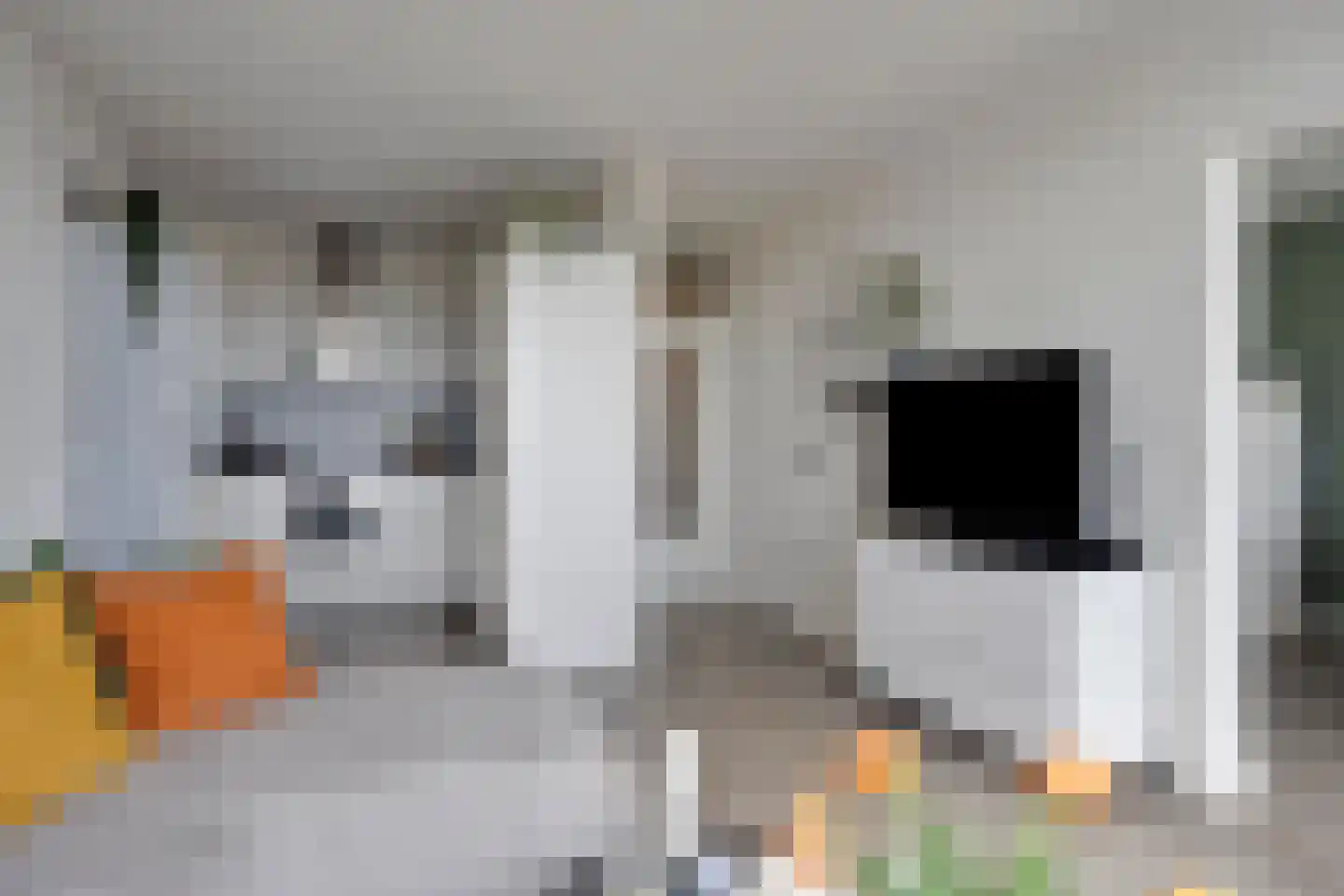 Tolhuis 6773 Nijmegen thumbnail 7