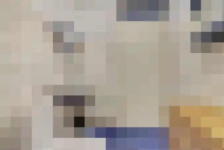 Tolhuis 7111 Nijmegen thumbnail 31