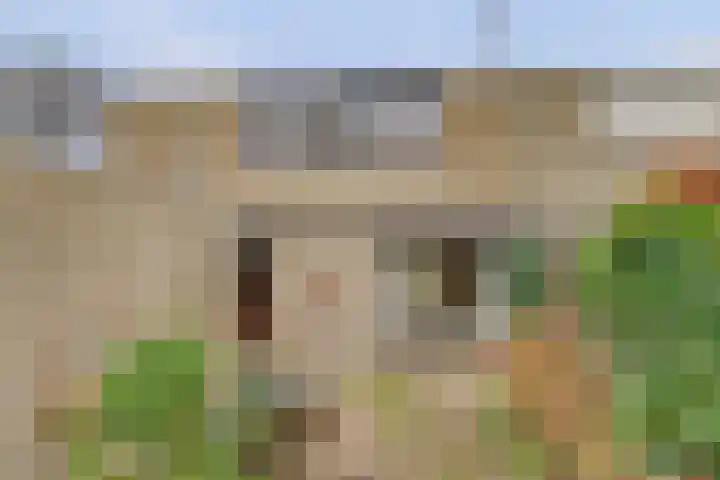 Tolhuis 7111 Nijmegen thumbnail 4