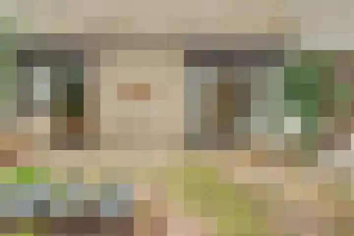 Tolhuis 7111 Nijmegen thumbnail 5