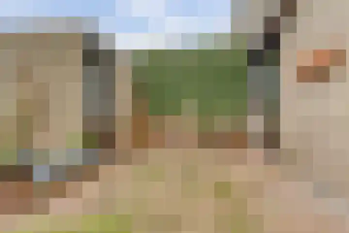 Tolhuis 7111 Nijmegen thumbnail 6