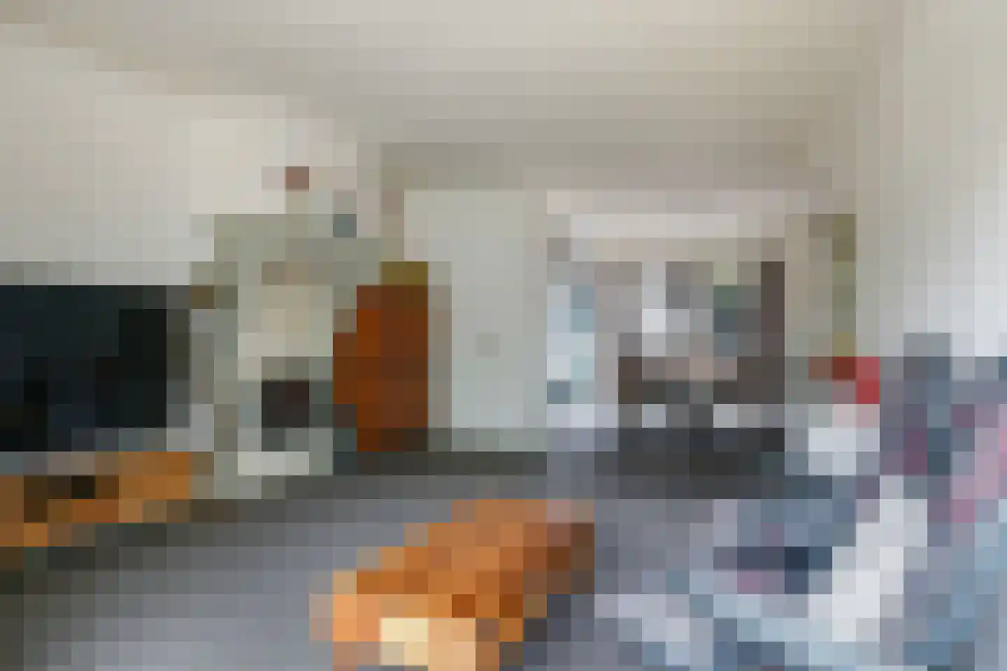 Tolhuis 7210 Nijmegen thumbnail 13
