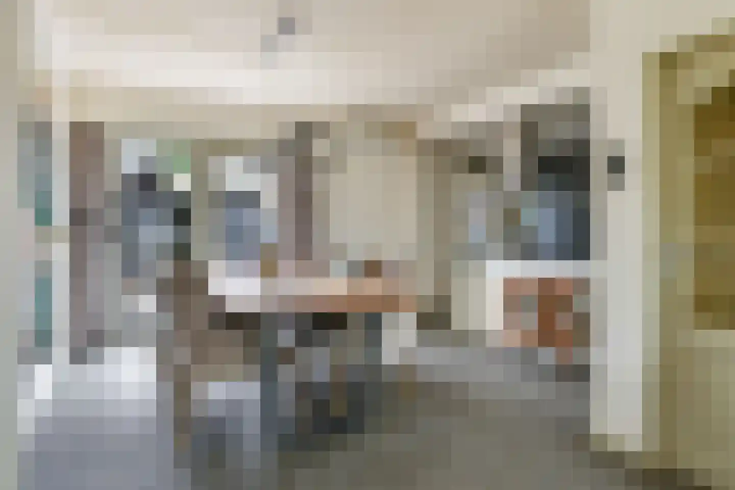 Tolhuis 7210 Nijmegen thumbnail 15