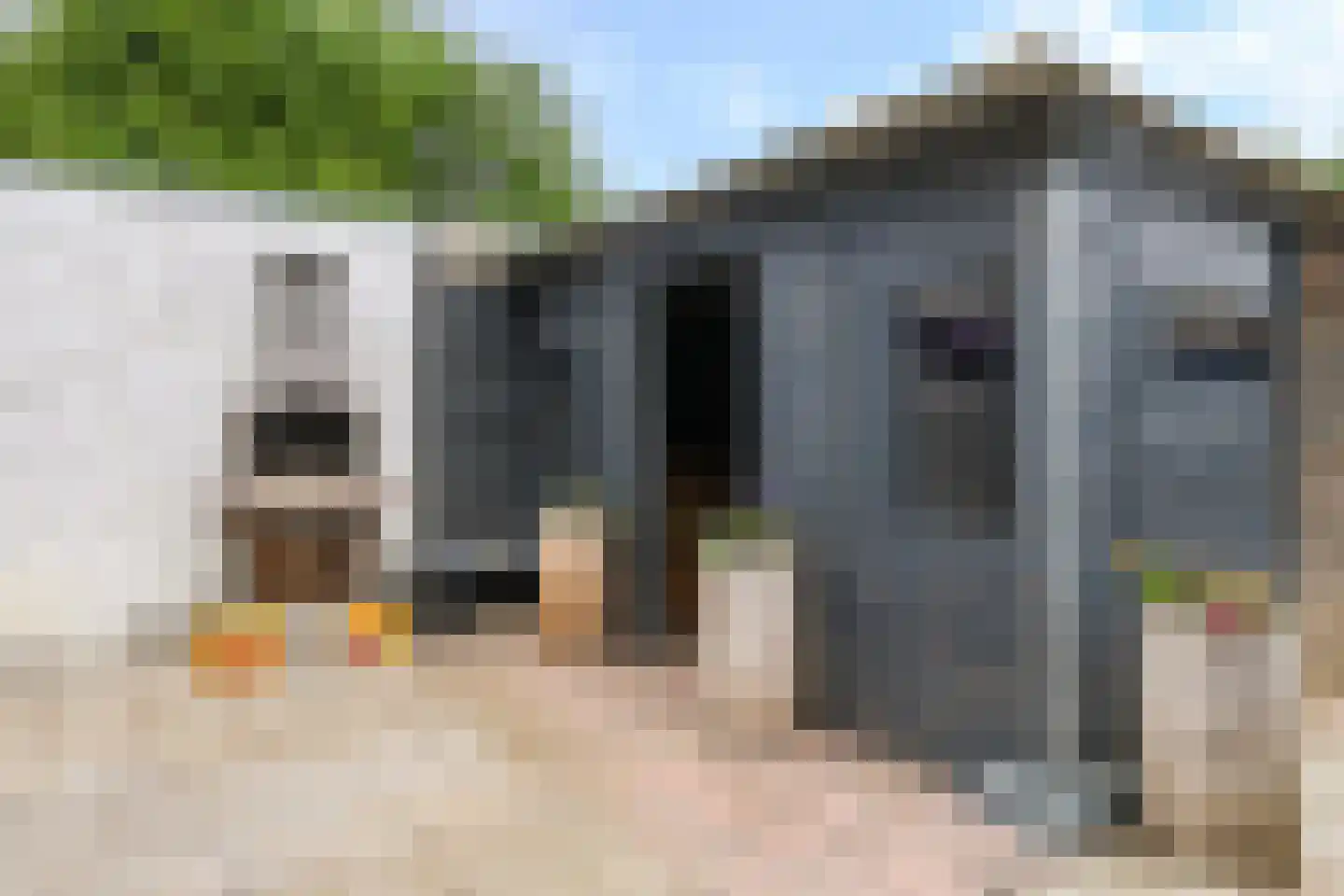 Tolhuis 7210 Nijmegen thumbnail 25