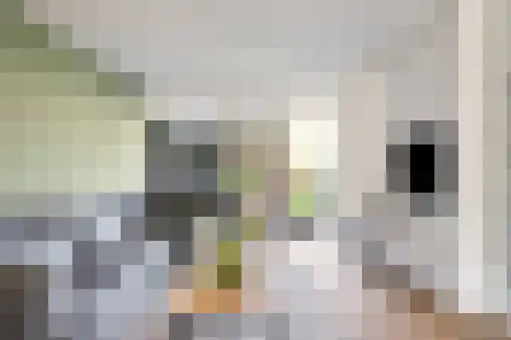 Tolhuis 7312 Nijmegen thumbnail 10