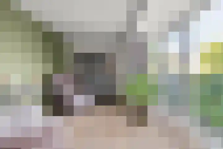Tolhuis 7312 Nijmegen thumbnail 11