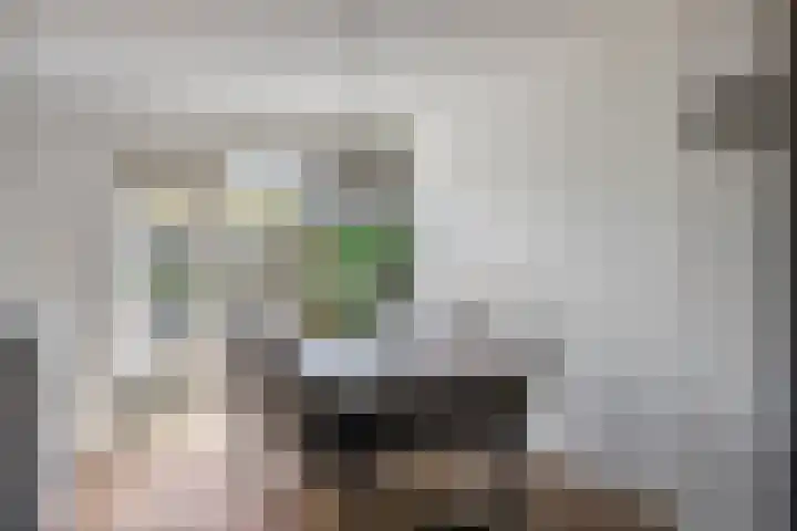 Tolhuis 7312 Nijmegen thumbnail 15