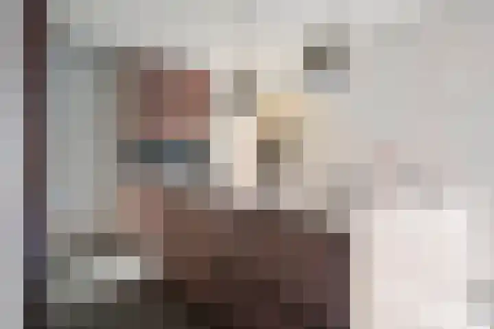 Tolhuis 7312 Nijmegen thumbnail 16