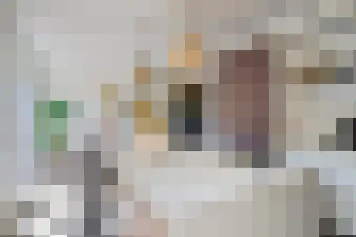 Tolhuis 7312 Nijmegen thumbnail 19