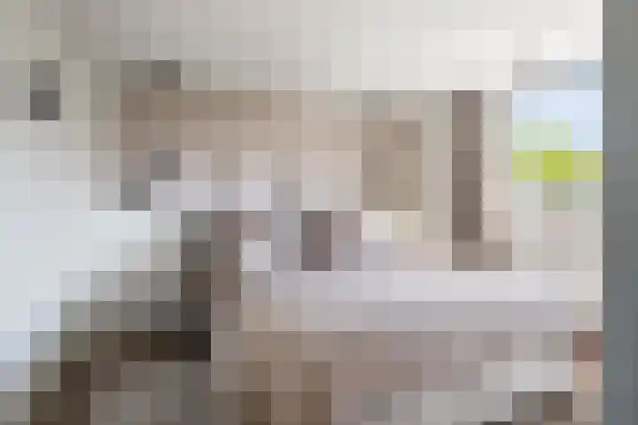 Tolhuis 7312 Nijmegen thumbnail 22