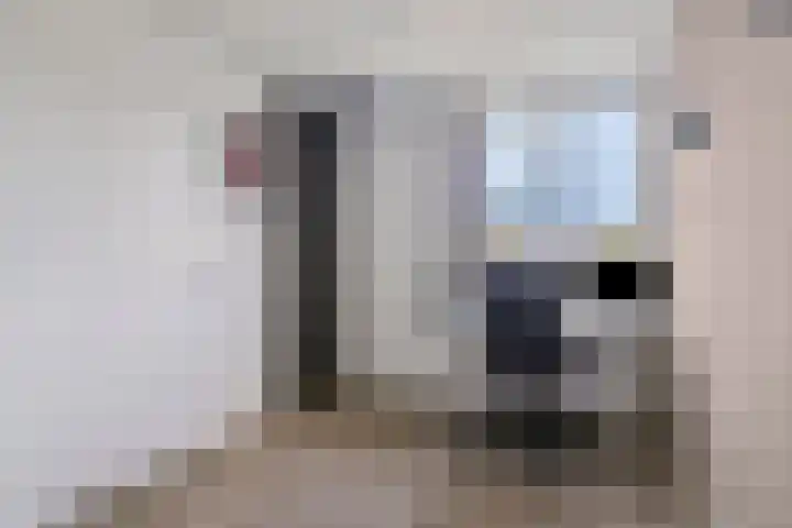 Tolhuis 7312 Nijmegen thumbnail 28