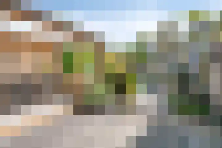 Tolhuis 7312 Nijmegen thumbnail 33