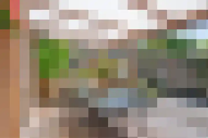 Tolhuis 7312 Nijmegen thumbnail 35