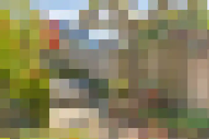Tolhuis 7312 Nijmegen thumbnail 36