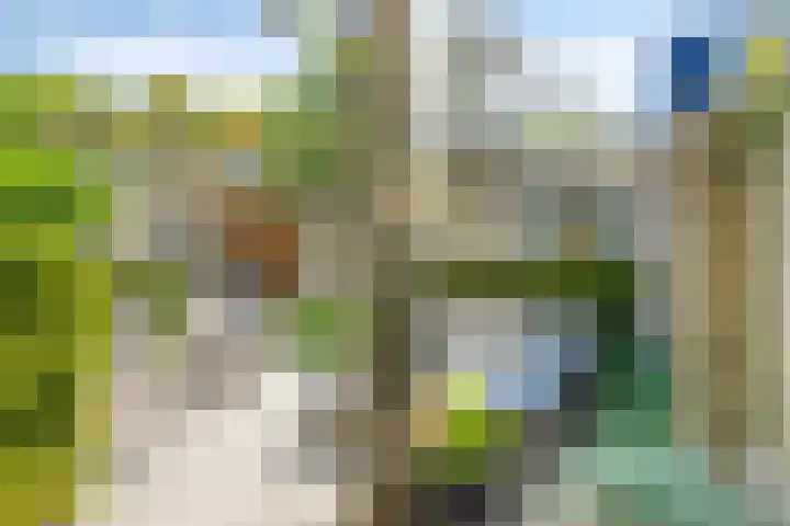 Tolhuis 7312 Nijmegen thumbnail 37