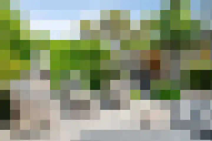 Tolhuis 7312 Nijmegen thumbnail 38