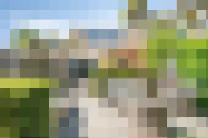 Tolhuis 7312 Nijmegen thumbnail 40