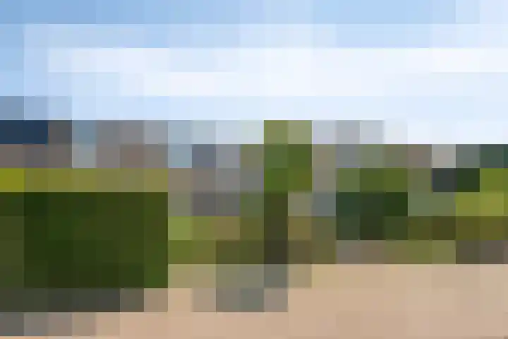Tolhuis 7312 Nijmegen thumbnail 41