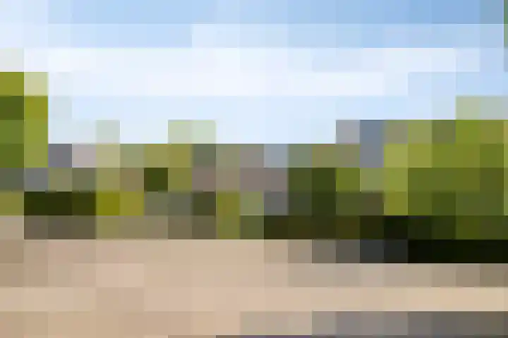 Tolhuis 7312 Nijmegen thumbnail 42