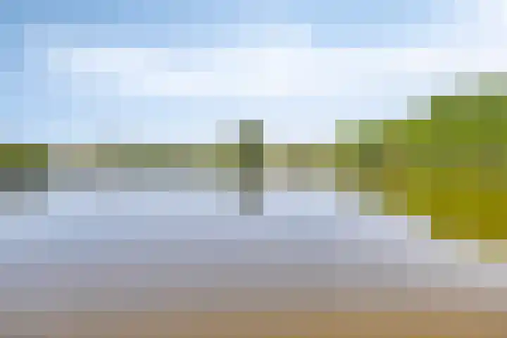 Tolhuis 7312 Nijmegen thumbnail 44