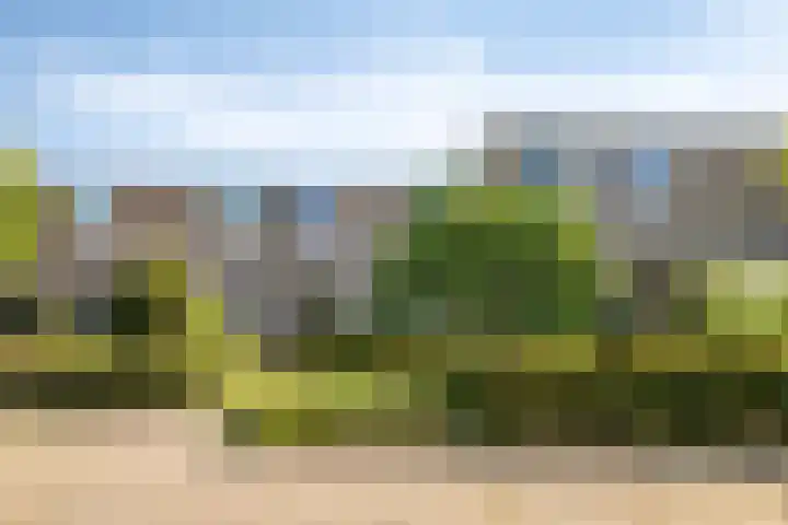 Tolhuis 7312 Nijmegen thumbnail 6