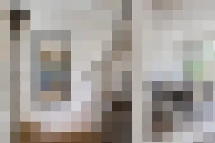 Tolhuis 7312 Nijmegen thumbnail 7