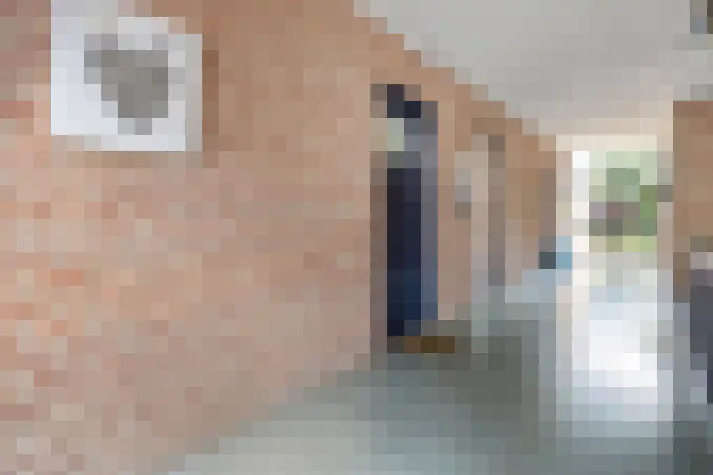 Tolhuis 7833 Nijmegen thumbnail 11