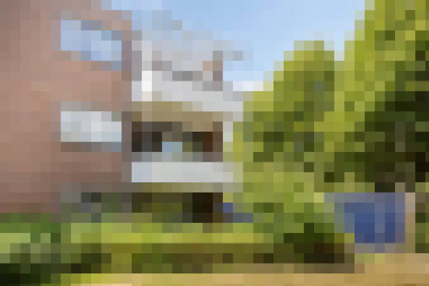 Tolhuis 7833 Nijmegen thumbnail 28