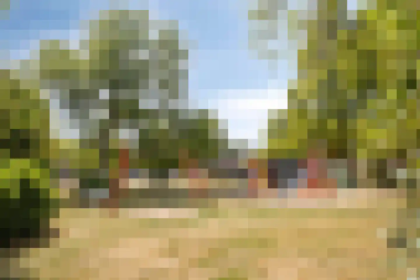 Tolhuis 7833 Nijmegen thumbnail 36