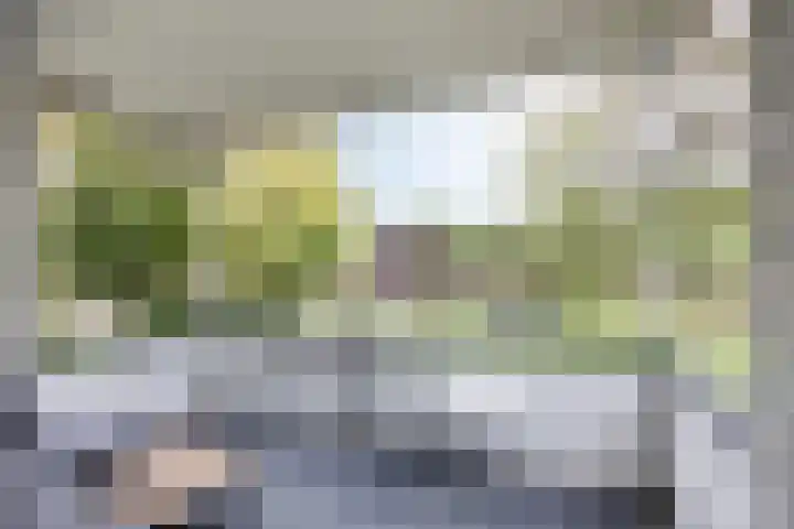 Tolhuis 7839 Nijmegen thumbnail 19